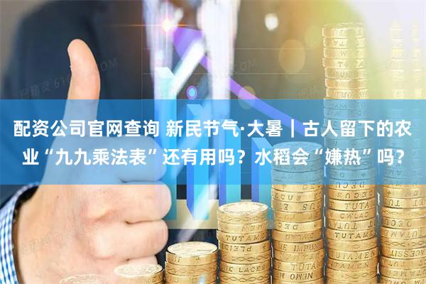 配资公司官网查询 新民节气·大暑｜古人留下的农业“九九乘法表”还有用吗？水稻会“嫌热”吗？